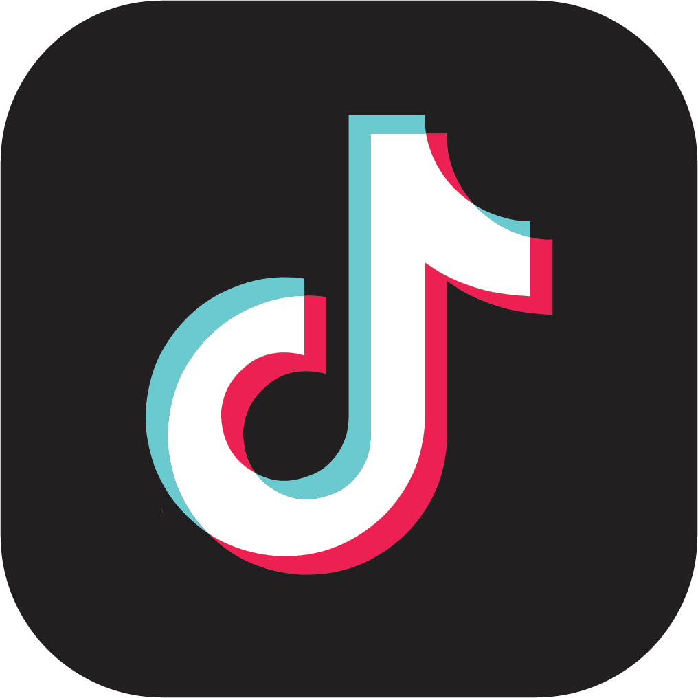 TikTok Icon